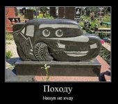 1000028838.jpg