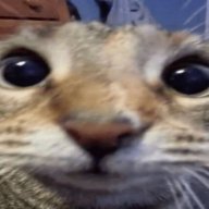 Vyacheslaw_Meow