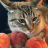PeachParadise